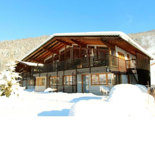 Apartment in Tyrol near ski area
