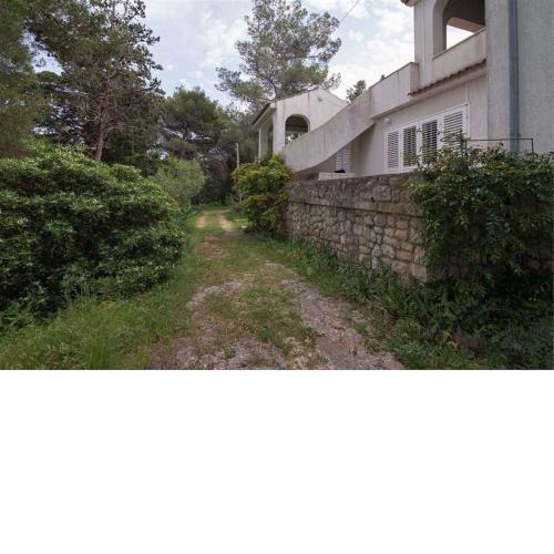 Apartment in Veli Losinj 34684