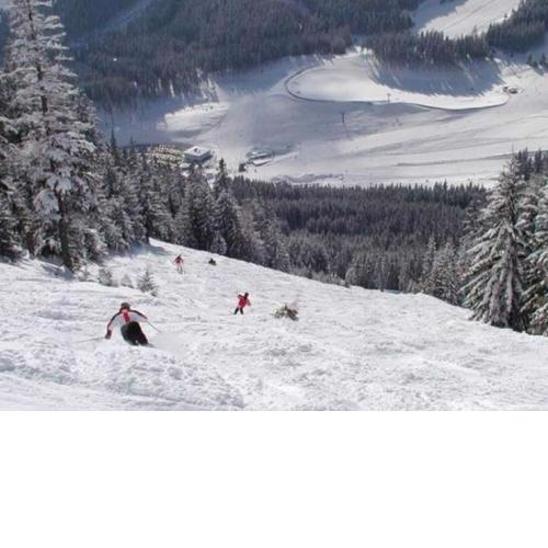 Apartment in Vordernberg near ski area