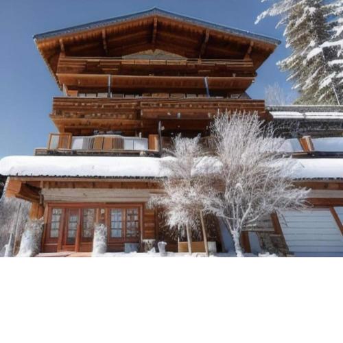 Apartment in Zell am See near lake