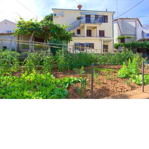 Apartment Iva