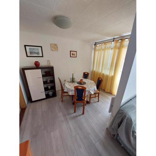 Apartment Ivanely