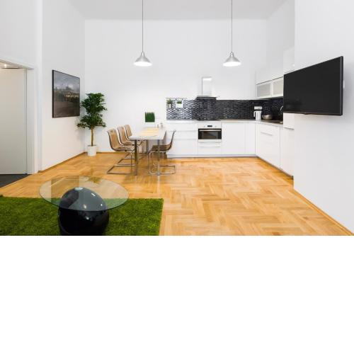 Apartment Jindrisska