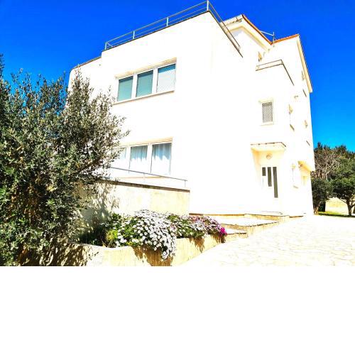Apartment Karlo - city center