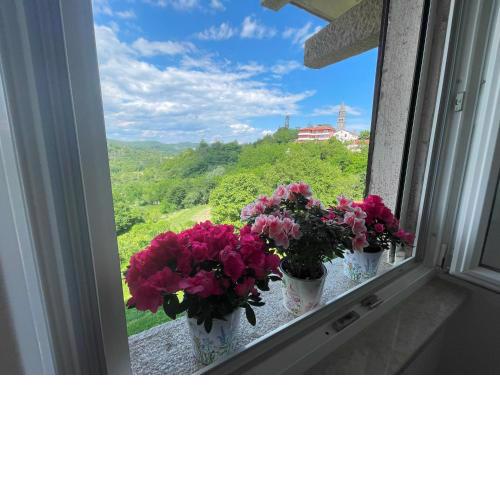 Apartment Kaštel
