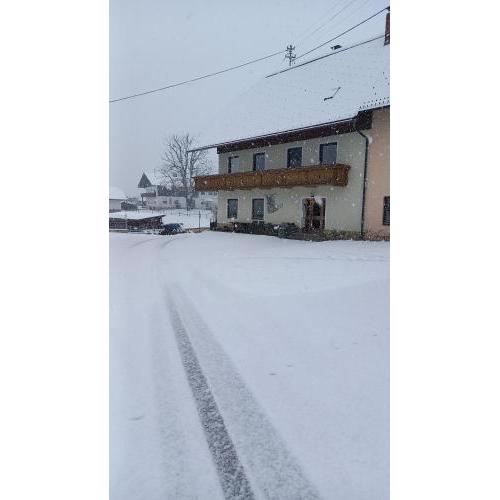Apartment Komar