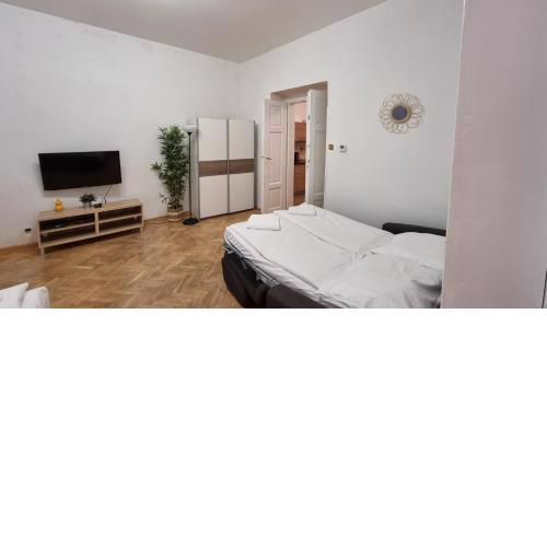 Apartment Krakovska 20