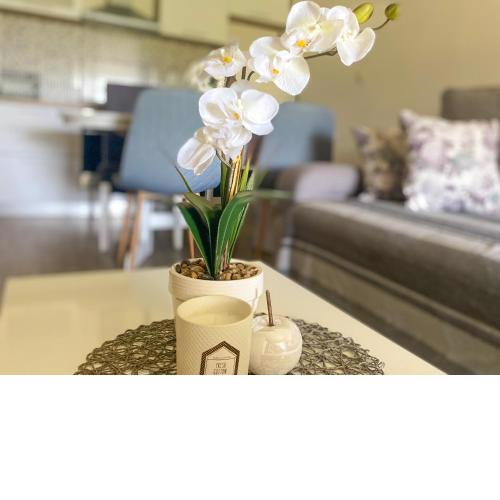 Apartment LAGANINI