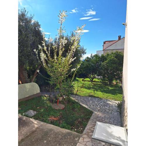 Apartment Lamante