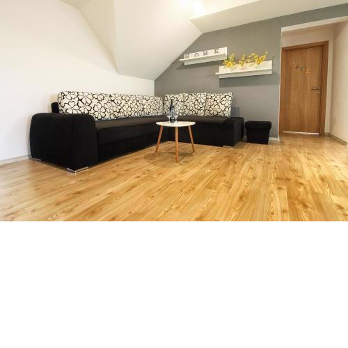 Apartment Lana
