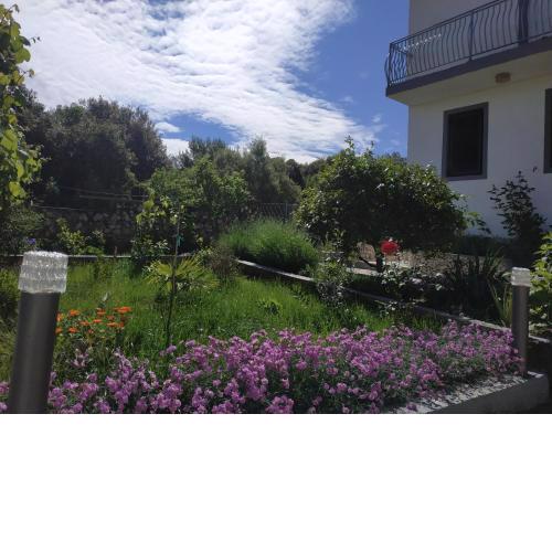 Apartment Lavanda Nova