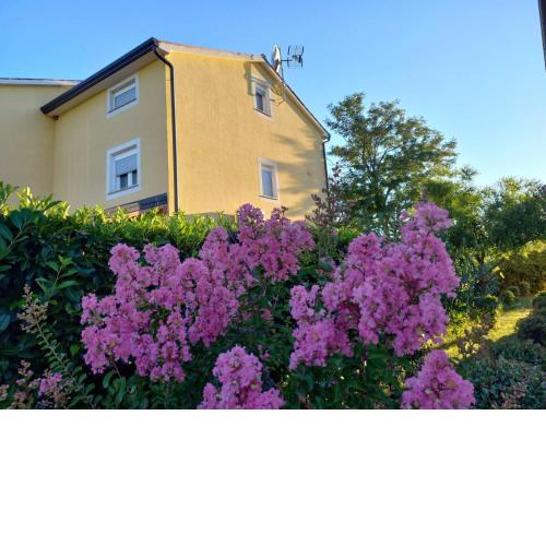 Apartment Lavanda
