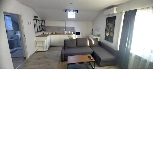 Apartment Lenchy