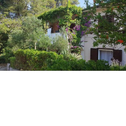 Apartment Lidija