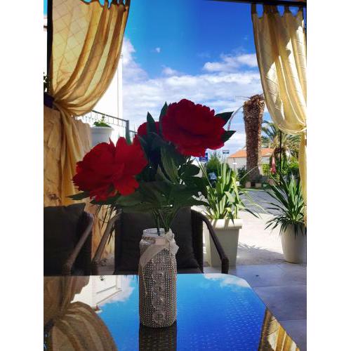 Apartment Lovre