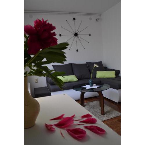 Apartment Luli