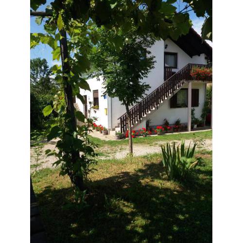 Apartment Manda