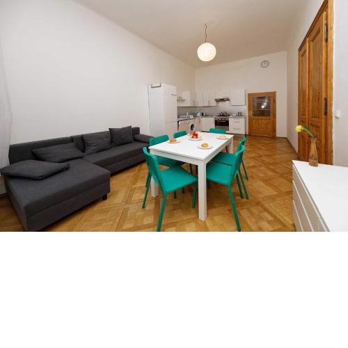 Apartment Manesova 4