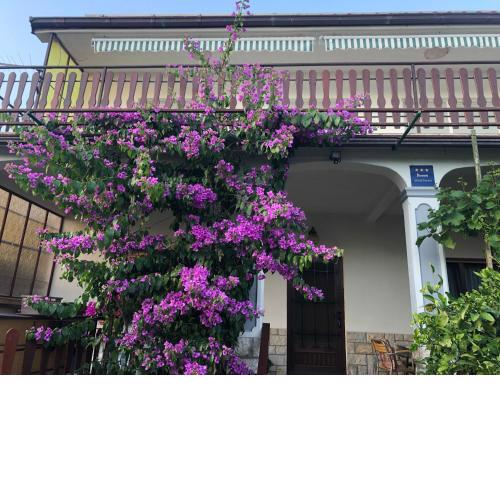 Apartment Marija Selce