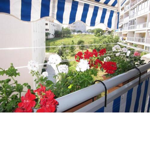 Apartment Marija