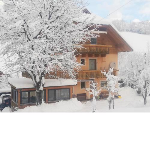 Apartment MASCH