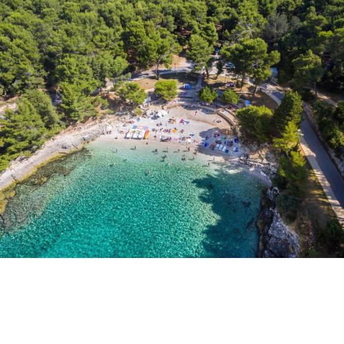 Apartment Melli