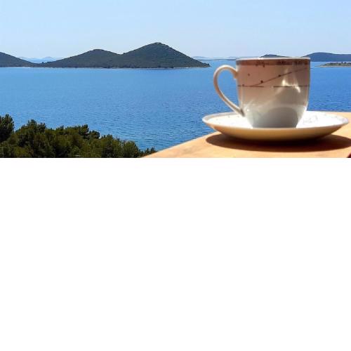 Apartment Mima with Sea View