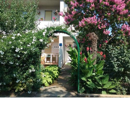 Apartment Mirjana