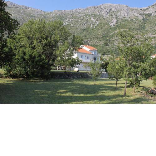 Apartment Mlini 8970b