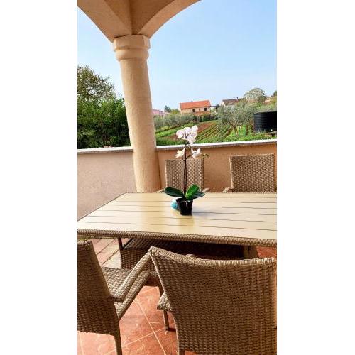 Apartment Munida