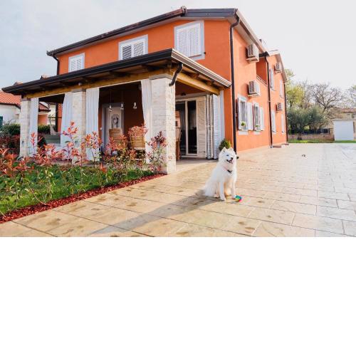 Apartment Nataša - romantic getaway