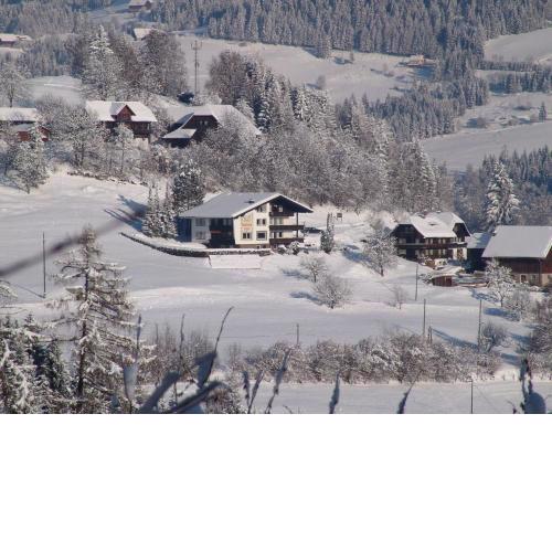 Apartment near Gerlitzen ski area