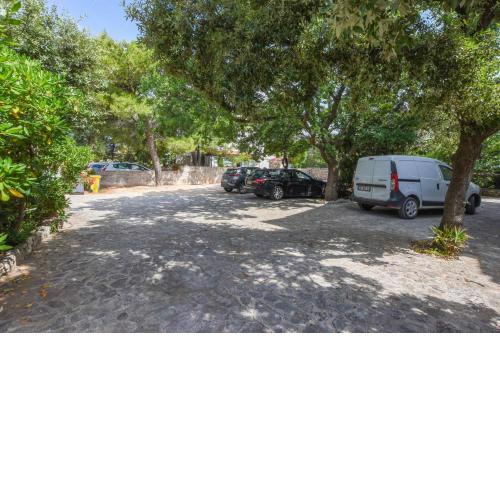 Apartment Neve