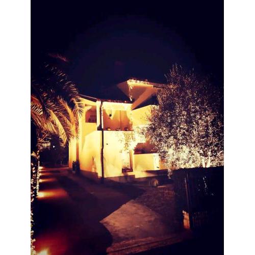 Apartment Novigrad