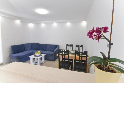 Apartment Orleančić