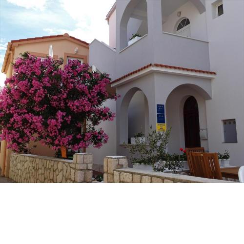 Apartment Pag 16100c