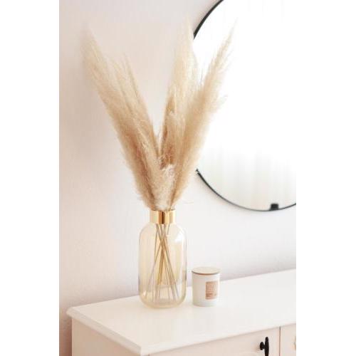 Apartment Pampas