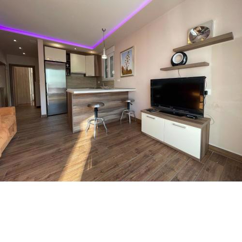 Apartment Paradiso