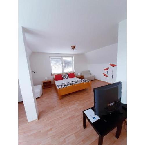 Apartment Patera