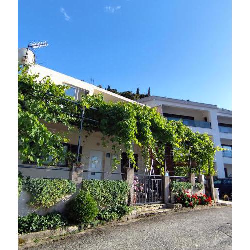 Apartment Penovic