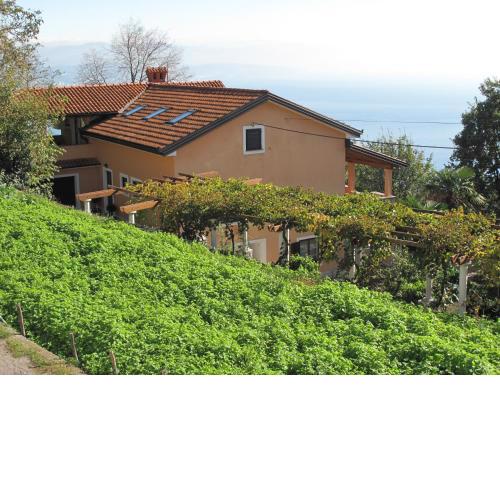 Apartment Pergola