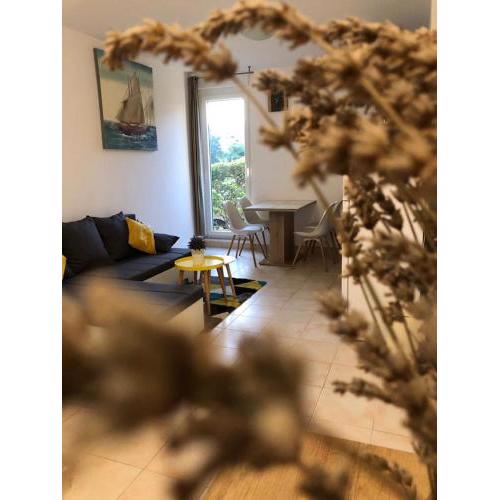 Apartment Petra