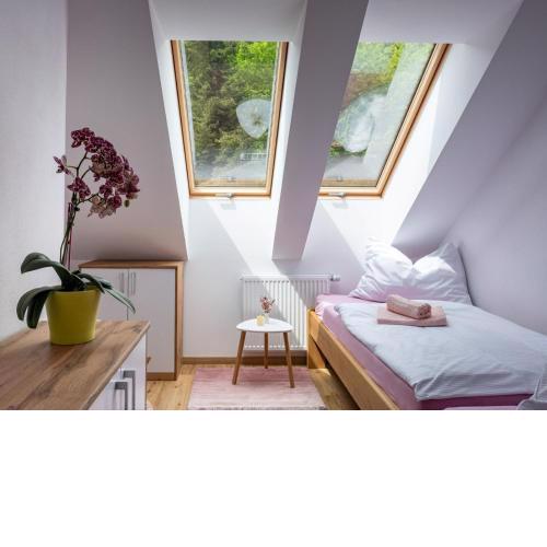 Apartment Pink Mandala by Interhome