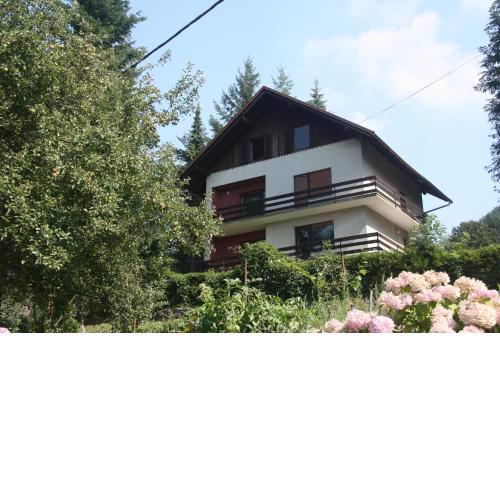 Apartment Pogled