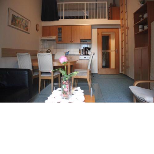 Apartment Poustevník