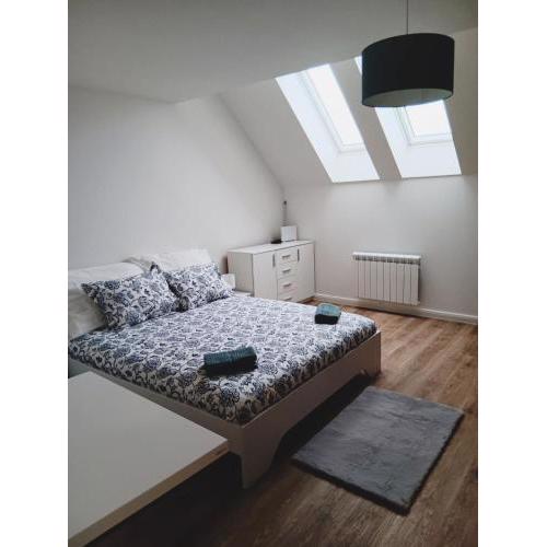 Apartment Prague city center - next to Florenc