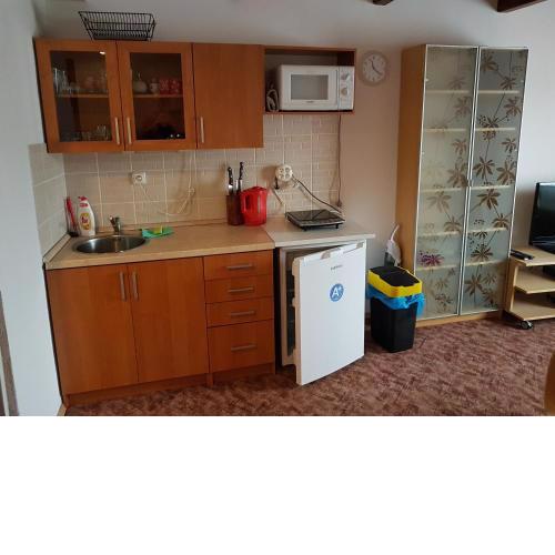 Apartment Příbram