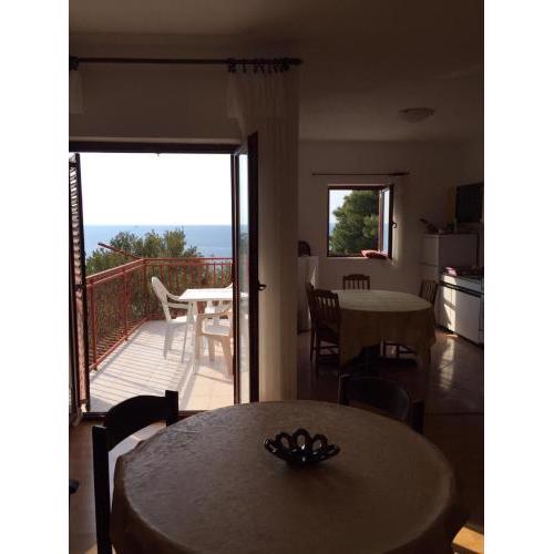 Apartment Primosten Dolac