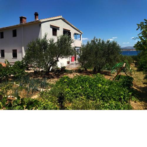 Apartment Prvic Sepurine
