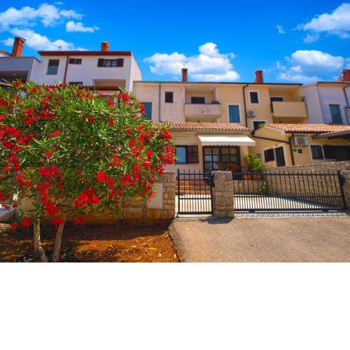 Apartment Puzar 389